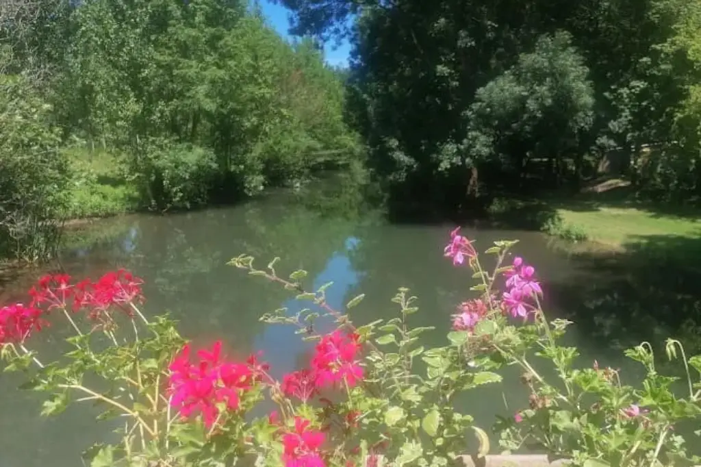 Vue paisible de la Boutonne à la base de loisirs d'Antezant, avec des fleurs rouges et roses au premier plan, des arbres verdoyants se reflétant dans l'eau calme et une rive enherbée.
