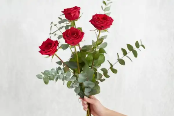 Un bouquet de 5 roses rouges avec quelques branches d'eucalyptus vertes.