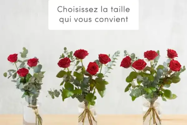 Un bouquet de 9 roses rouges accompagnées de branches d'eucalyptus vertes.