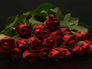 Coffret floral comprenant un grand bouquet de roses rouges fraîches aux tiges feuillues posé sur un fond noir, destiné à la décoration romantique avec pétales de roses au sol pour le gîte du Domaine d'Angély.