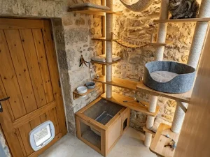 Photo de l'intérieur d'une chambre privative aménagée avec un arbre à chat, une litière, des gamelles et une chatière qui donne sur l'espace extérieur privatif totalement clos et sécurisé.