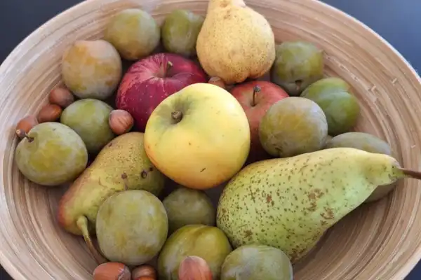 Un corbeille de fuits d'automne avec des noisettes.