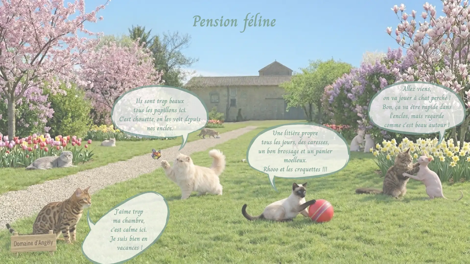 Six chats de races différentes (Siamois, Persan, Sphynx, etc.) heureux dans un parc paysager en fleurs au Domaine d'Angély. Des bulles de dialogue décrivant le confort de la pension féline, le calme, l'hygiène stricte et les caresses quotidiennes.