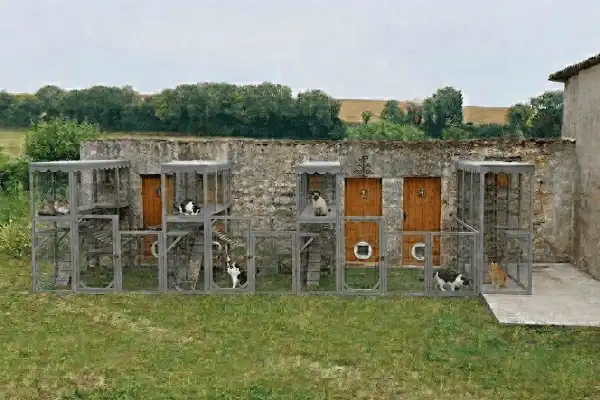 L'aménagement extérieur de nos chambres individuelles pour chats, au Domaine d'Angély, avec des perchoirs, des passerelles, un abri, dans un enclos extérieur privatif grillagé.