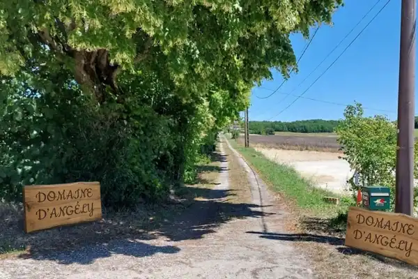 Un chemin de terre ensoleillé s'enfonçant dans la campagne, bordé de grands arbres feuillus à gauche et de champs à droite, avec deux panneaux en bois gravés 'Domaine d'Angély' marquant l'entrée.